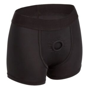 Calexotics-Harness im Boxer-Stil
