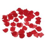 Diablo Picante-100 Rote Blütenblätter · Spiele & Geschenke