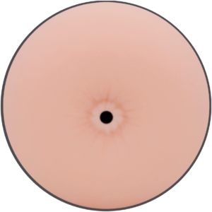 Jamyjob-Masturbator Booty – Anus-TPE · Sextoys (Bild 6)