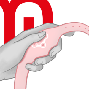 Watchme-Uhr Fernbedienung Drahtloses Silikon · Vibratoren (Bild 13)