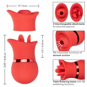 Calexotics-French Kiss Suck & Play Set-Silikon, 12 Geschwindigkeiten · Vibratoren (Bild 7)