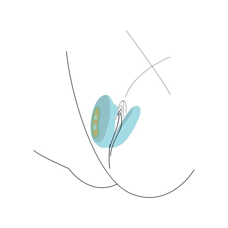 Xocoon-Foreplay Enhancer für Menta Paare · Vibratoren (Bild 3)