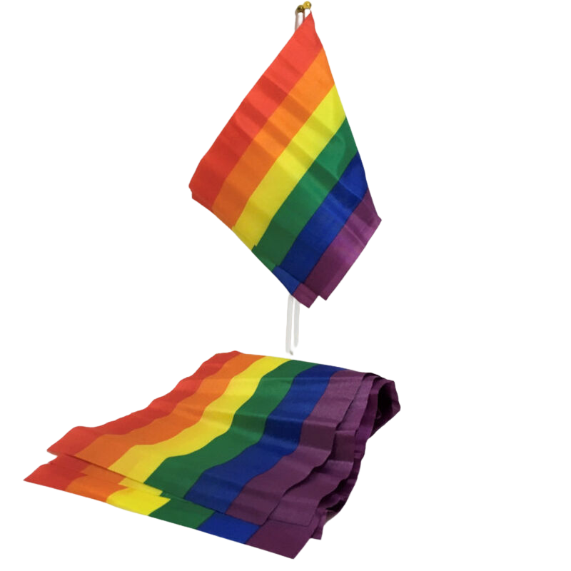 Pride-Fanion Kleine Flagge Lgbt, 20 X 15 cm · Spiele & Geschenke
