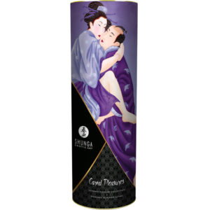 Shunga Kits-Fleischiges Vergnügen Kit · Süßigkeiten & Geschenke (Bild 2)