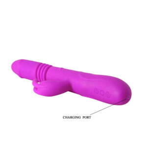 High Tech-Ward Rabbit Up & Down-Silikon, 12 Geschwindigkeiten, Wiederaufladbar · Vibratoren (Bild 7)