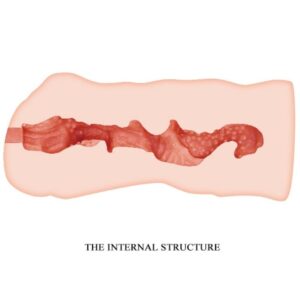 Crazy Bull-Schöne Vagina Masturbator 13.7 cm-TPR, Wasserdicht · Masturbatoren (Bild 5)