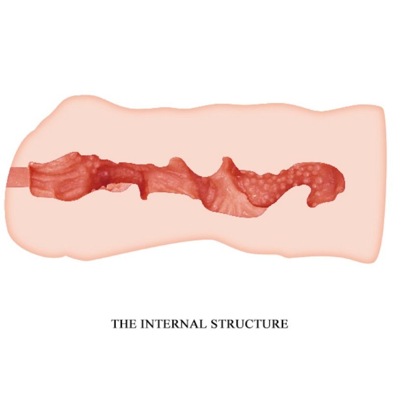 Crazy Bull-Schöne Vagina Masturbator 13.7 cm-TPR, Wasserdicht · Masturbatoren (Bild 5)