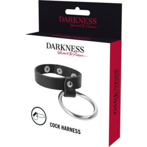 Darkness Bondage-Metallring für Penis und Hoden · Spielzeug aus Glas & Metall (Bild 5)