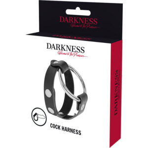 Darkness Bondage-Bdsm Ring für Penis und Hoden-Metall · Sextoys (Bild 5)