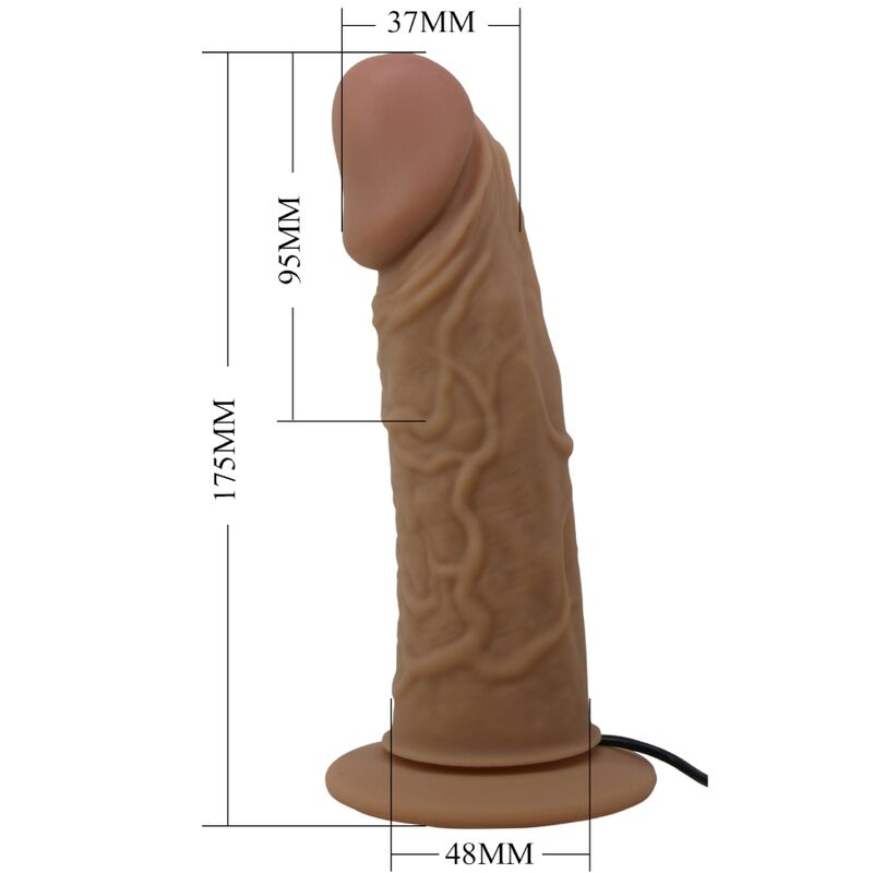 Harness Collection-Slip Harness mit Dildo Vibrator Inklusive-Silikon · Strap-on & Harness (Bild 2)