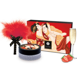 Shunga Body Power-Kit Pulver für Erdbeermassage · Oralsex & Körperspiele