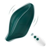 Armony Stimulators-Stimulator und Vibrator mit Fernbedienung · Vibratoren