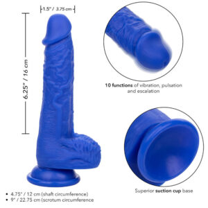 Calexotics-Sailor Dildo Realist Vibrator · Vibratoren (Bild 4)