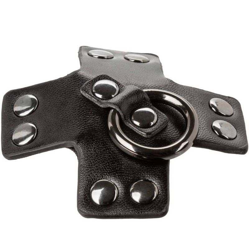 Calexotics-Euphoria O-ring Schwarz · Sexy Damen-Dessous (Bild 4)