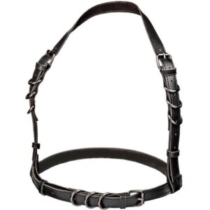 Calexotics-Euphoria Harness Halser Plus Size mit Schnallen · BDSM-Zubehör