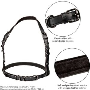 Calexotics-Euphoria Harness Halser Plus Size mit Schnallen · BDSM-Zubehör (Bild 3)