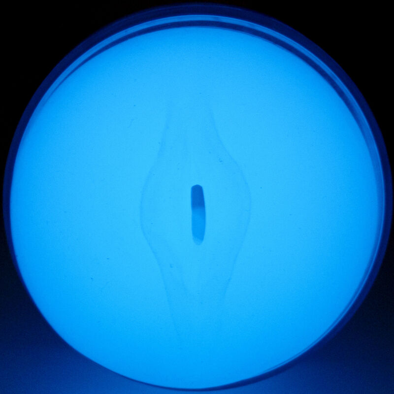 Kiiroo-Feelglow Stroker leuchtet im Dunkeln-TPE · Sextoys (Bild 4)