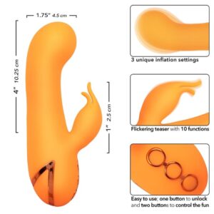 Calexotics-Montecito Muse Vibrator Rabbit Orange California · Vibratoren (Bild 7)