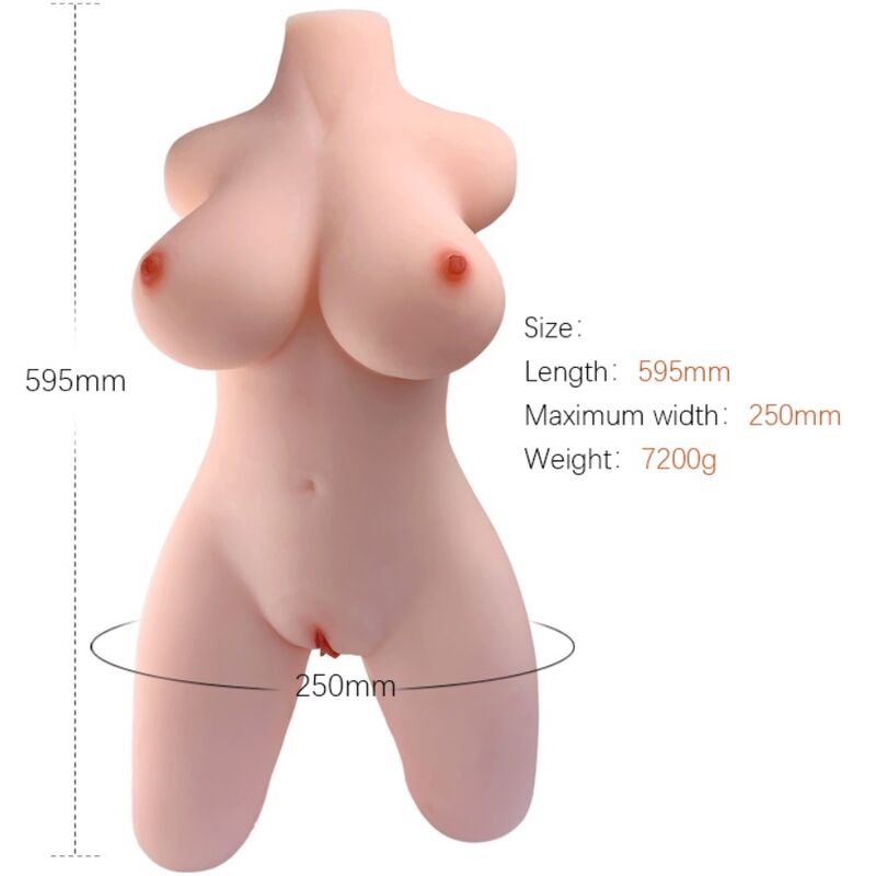 Armony-Realistischer weiblicher Torso Modell 2-TPE
