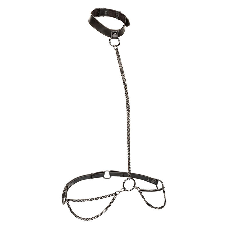 Calexotics-Euphoria Wandelbarer Harness mit Kette, Halsband und Leine
