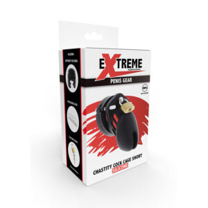 Hidden Desire-Extreme Keuschheit Käfig für den Penis · BDSM-Zubehör (Bild 5)