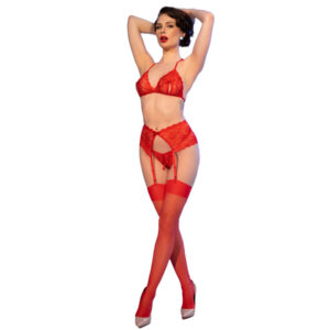 Chilirose-CR-4848 Set BH, Tanga, Portjartier und Strümpfe · Spicy Dessous & Bodystockings (Bild 4)