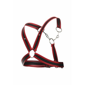 Mob-Dngeon Harness mit Ketten-Metall · Herrenunterwäsche (Bild 14)