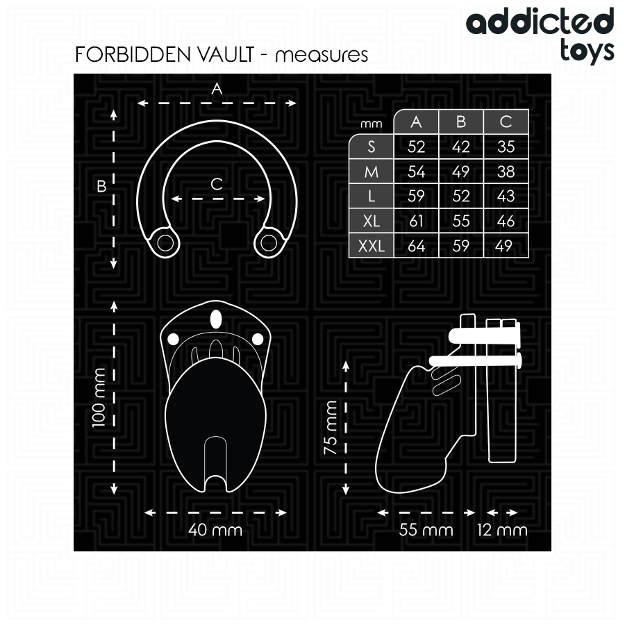 Addicted Toys Locked-Locked – Forbidden Vault Käfig für Penis · BDSM-Zubehör (Bild 2)