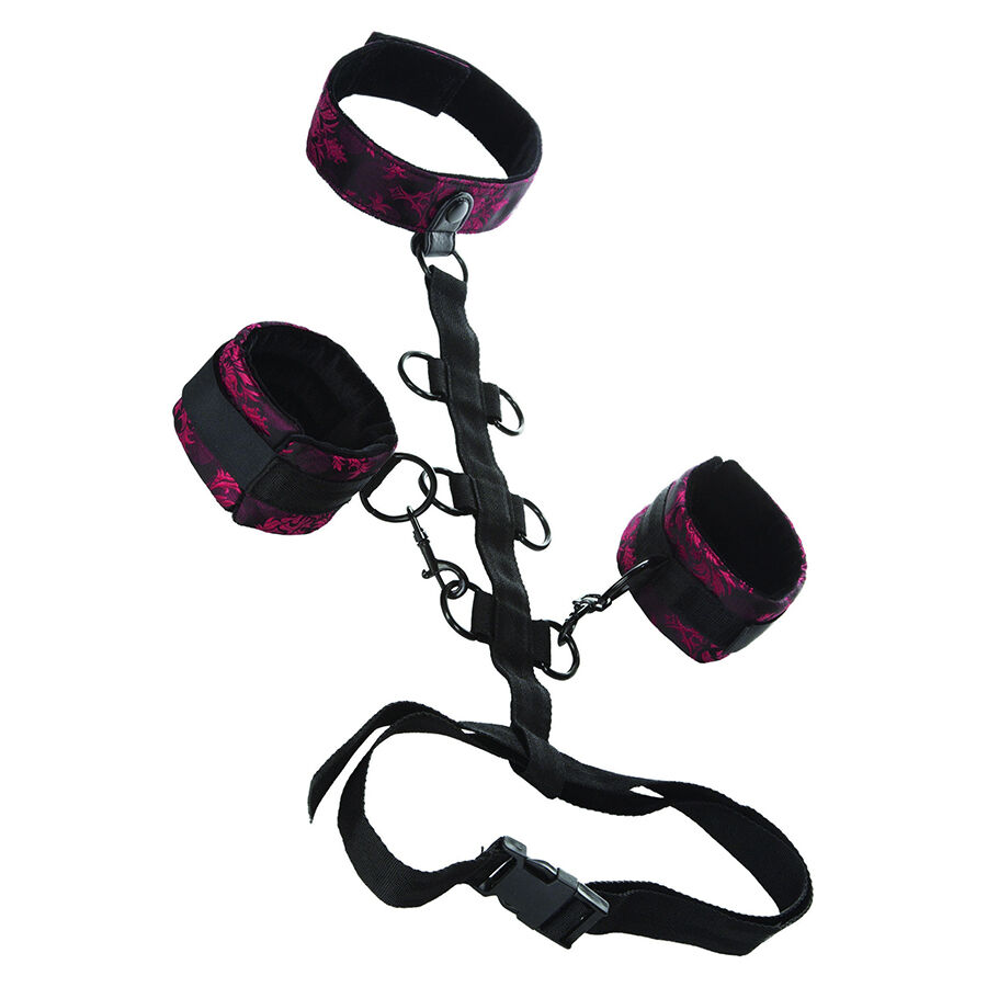 Calexotics-Scandal Körperfessel mit Halsband