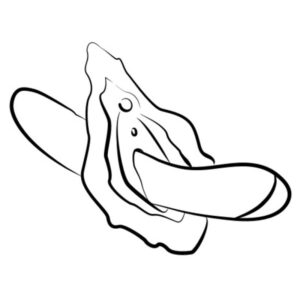 Romp-Hyper Vibrator Multifunktions-G-Spot Rot-Silikon · Vibratoren (Bild 10)